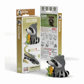 3D Papier - Waschbär - Carletto